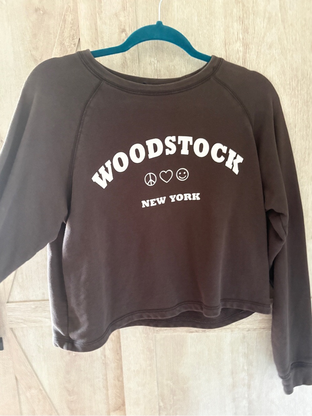 One Clothing Woodstock New York Cropped Sweatshirt | XS